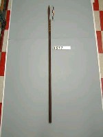 藏品(吹箭槍)的圖片